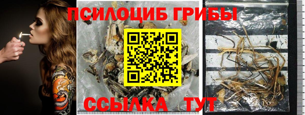 Туймазы  Галлюциногенные грибы ЛСД  Вход с VPN 